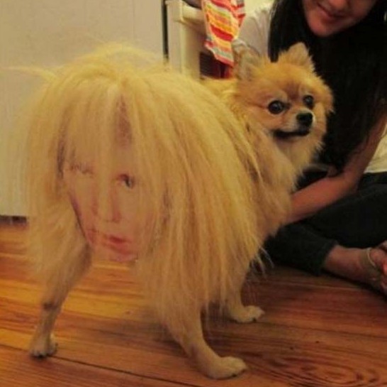 tumblr-mc9g3g2msz1rfjtedo1-1280