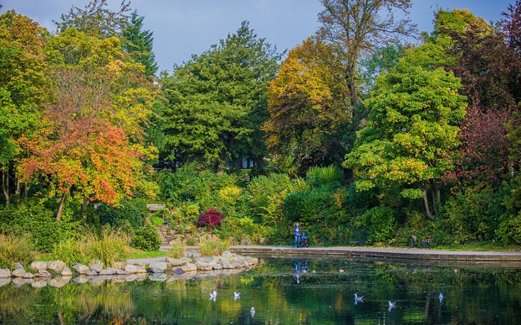 weastshfn6 weastshfn6