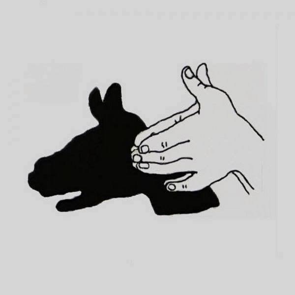 12208733_985623238143132_6407256877216051689_n