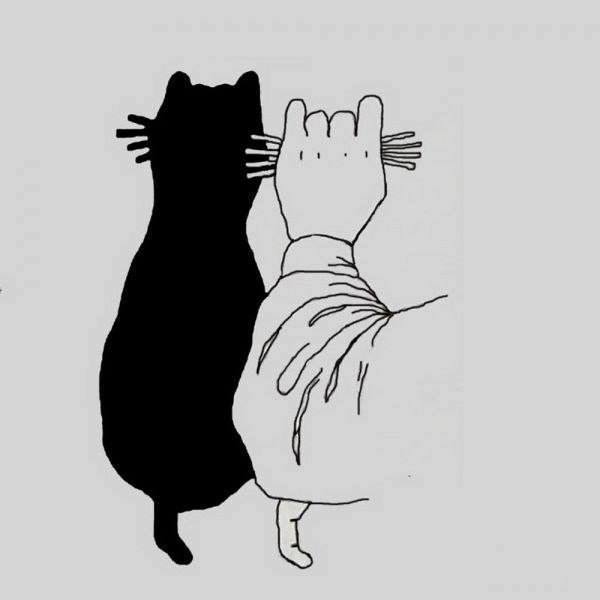 12219400_985623271476462_406573750815548180_n