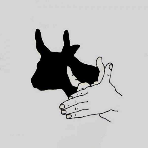 12241240_985623241476465_7461997683053633066_n