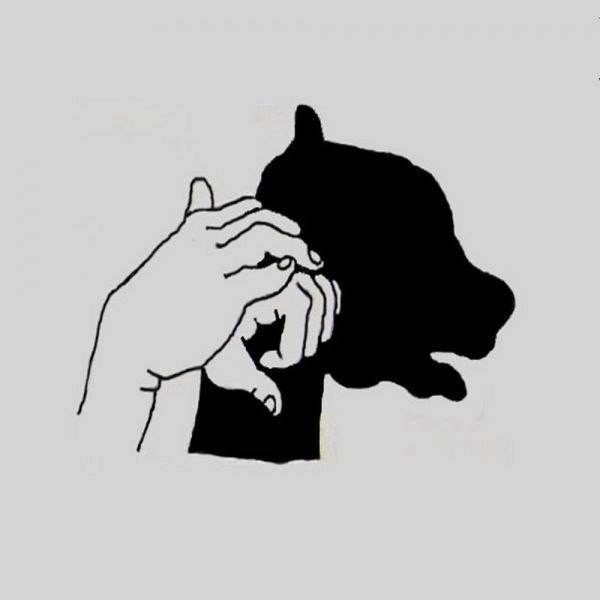 12249727_985623244809798_3097430926148074888_n