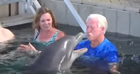 Πόσο κόντρα μπορείς να πας σε ένα δελφίνι;