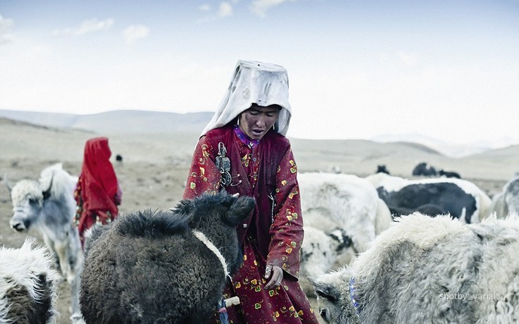 afganistan11 afganistan11