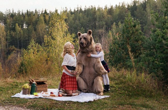 bear_picnic_incredible_photographs_02 bear_picnic_incredible_photographs_02