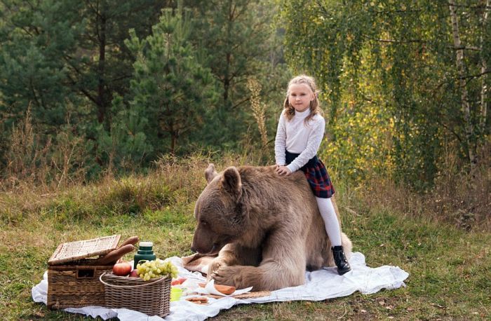 bear_picnic_incredible_photographs_03 bear_picnic_incredible_photographs_03