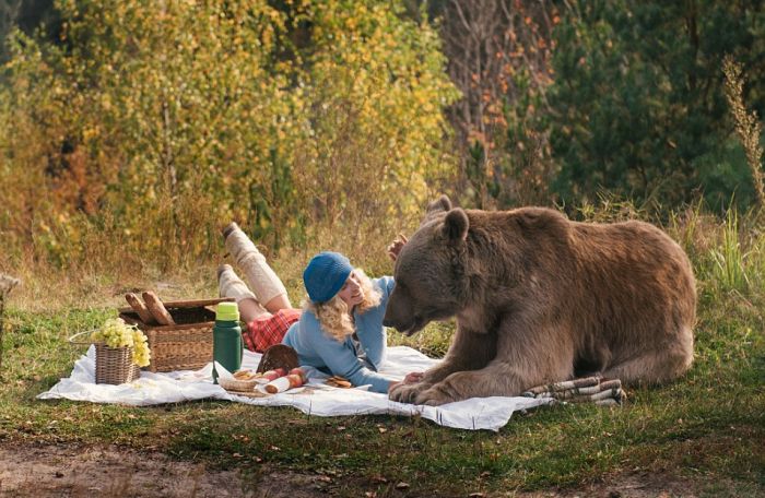 bear_picnic_incredible_photographs_05 bear_picnic_incredible_photographs_05
