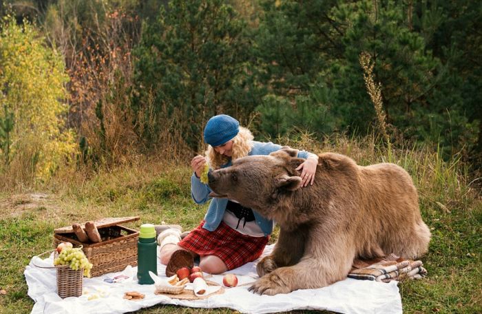 bear_picnic_incredible_photographs_07 bear_picnic_incredible_photographs_07
