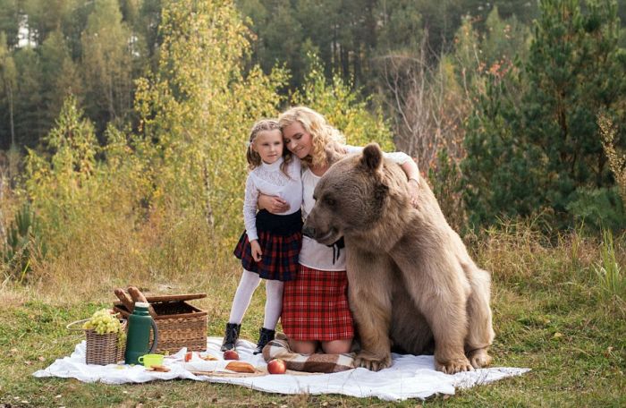 bear_picnic_incredible_photographs_09 bear_picnic_incredible_photographs_09
