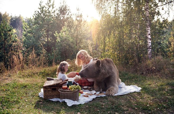 bear_picnic_incredible_photographs_11 bear_picnic_incredible_photographs_11