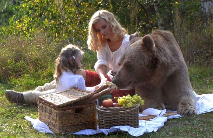 bear_picnic_incredible_photographs_12 bear_picnic_incredible_photographs_12