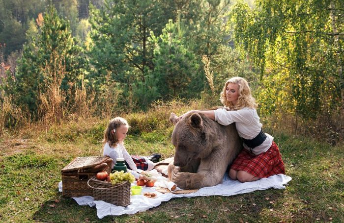 bear_picnic_incredible_photographs_13 bear_picnic_incredible_photographs_13