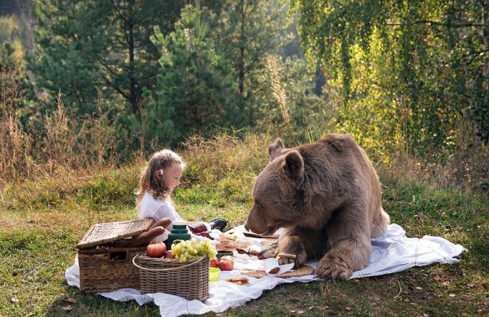 bear_picnic_incredible_photographs_14 bear_picnic_incredible_photographs_14