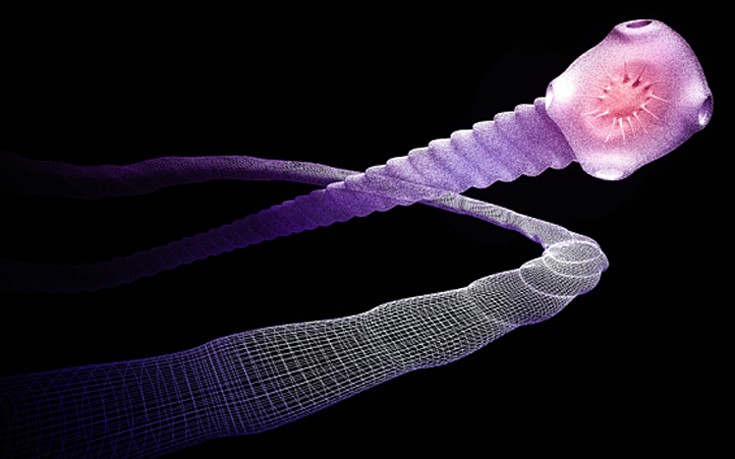 jkfdhaffhsdgjs3 jkfdhaffhsdgjs3