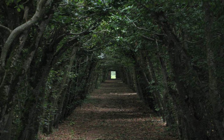 Το εντυπωσιακό «Μαύρο Δάσος» της Γερμανίας
