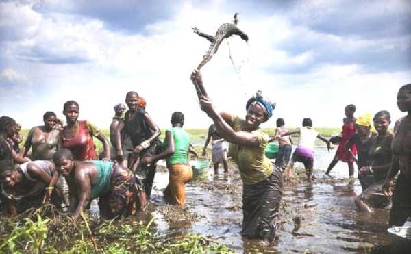 meanwhile-in-africa-9