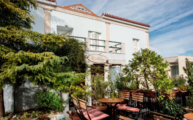 menta_kentriki_newsbeast menta_kentriki_newsbeast