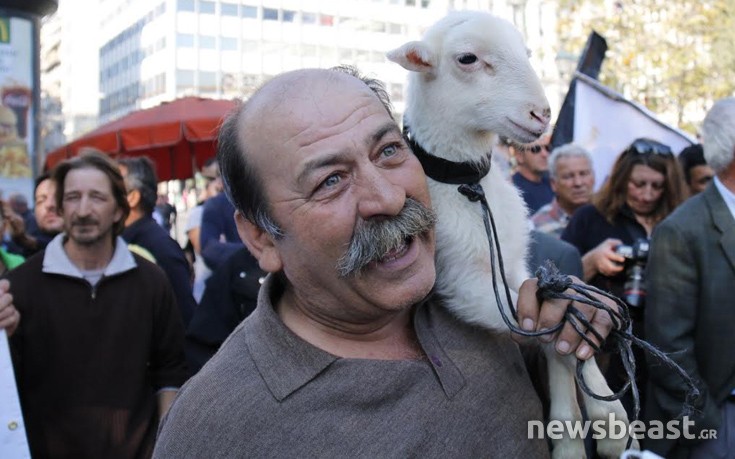 Ένα αρνάκι διαδήλωσε με τους αγρότες στο Σύνταγμα