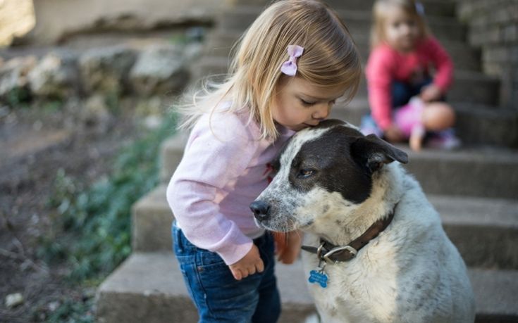 Πέντε ράτσες σκυλιών φιλικές για τα παιδιά