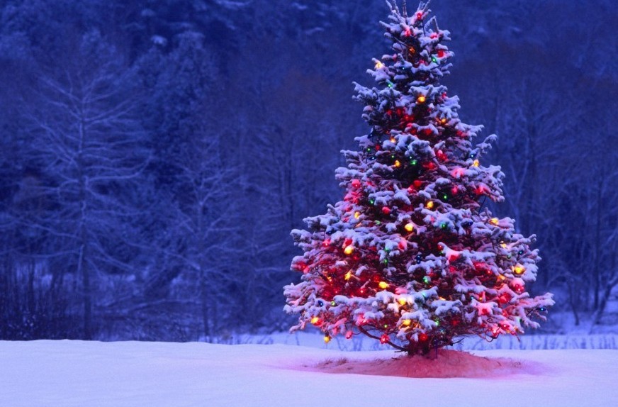 Το πρώτο χριστουγεννιάτικο δέντρο θα ανάψει στη Χαλκιδική