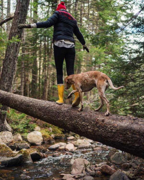 a-guy-documents-his-dogs-extremely-satisfying-life-20-photos-15 a-guy-documents-his-dogs-extremely-satisfying-life-20-photos-15