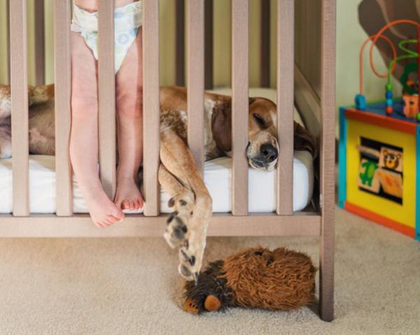 a-guy-documents-his-dogs-extremely-satisfying-life-20-photos-21 a-guy-documents-his-dogs-extremely-satisfying-life-20-photos-21