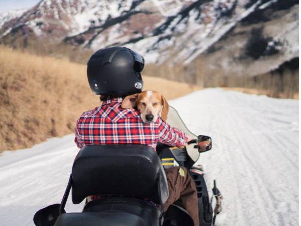 a-guy-documents-his-dogs-extremely-satisfying-life-20-photos-211 a-guy-documents-his-dogs-extremely-satisfying-life-20-photos-211