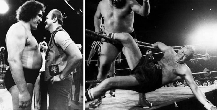 cchaffwwwpennereer11 cchaffwwwpennereer11