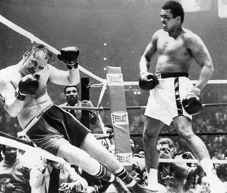 cchaffwwwpennereer5 cchaffwwwpennereer5