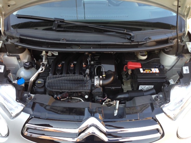 citorennca10 citorennca10