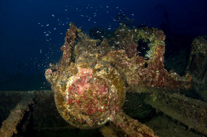 flooded_japanese_wwii_02 flooded_japanese_wwii_02