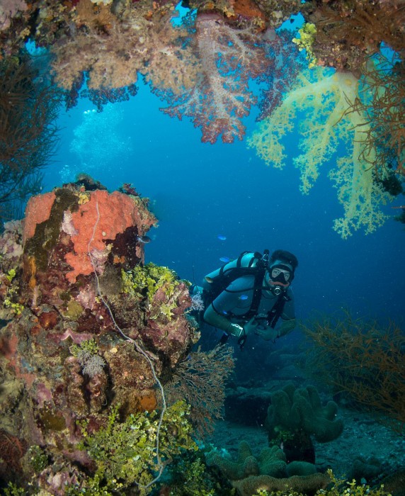 flooded_japanese_wwii_09 flooded_japanese_wwii_09