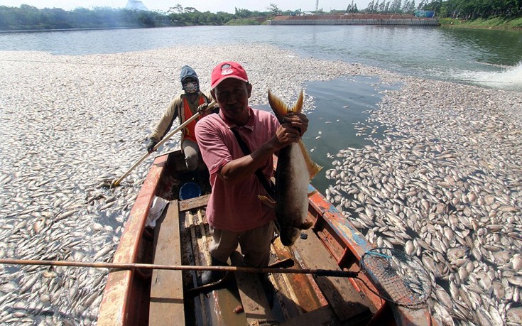 indonesia2 indonesia2