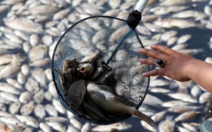 indonesia3 indonesia3