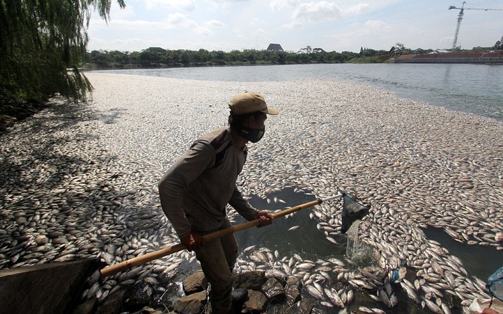 indonesia4 indonesia4