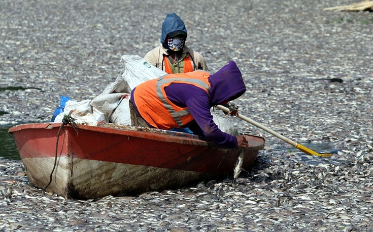indonesia6 indonesia6