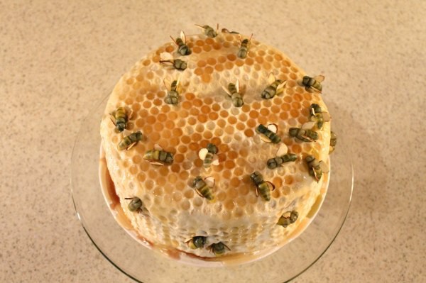 its-been-a-long-workweek-you-deserve-cake-35-photos-19