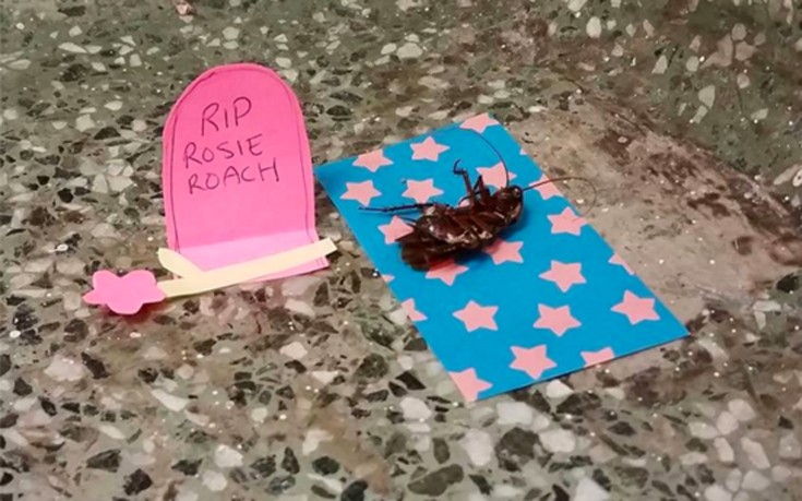 katsarida1 katsarida1