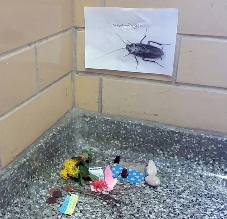 katsarida2 katsarida2