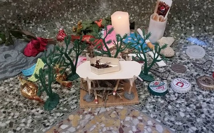 katsarida3 katsarida3