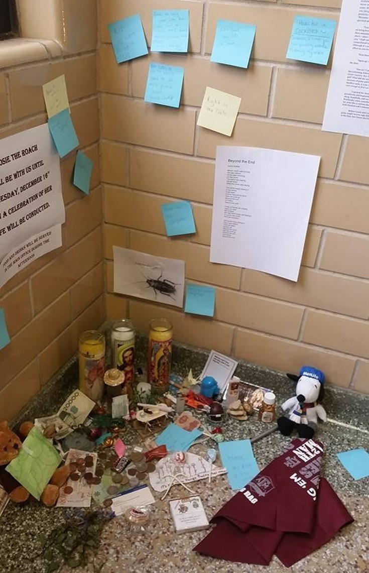 katsarida7 katsarida7