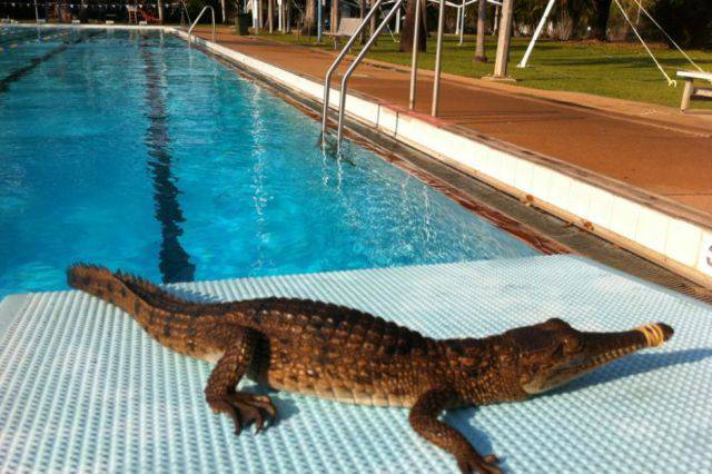 life_in_australia_is_like_nowhere_else_in_the_world_640_22