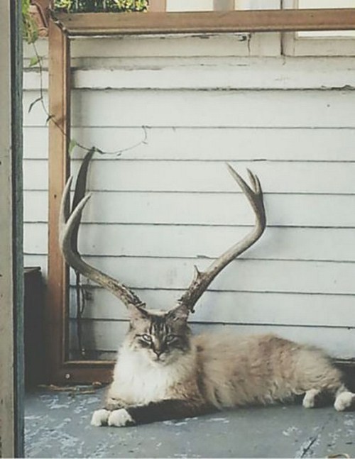 non-photoshopped-pictures-16