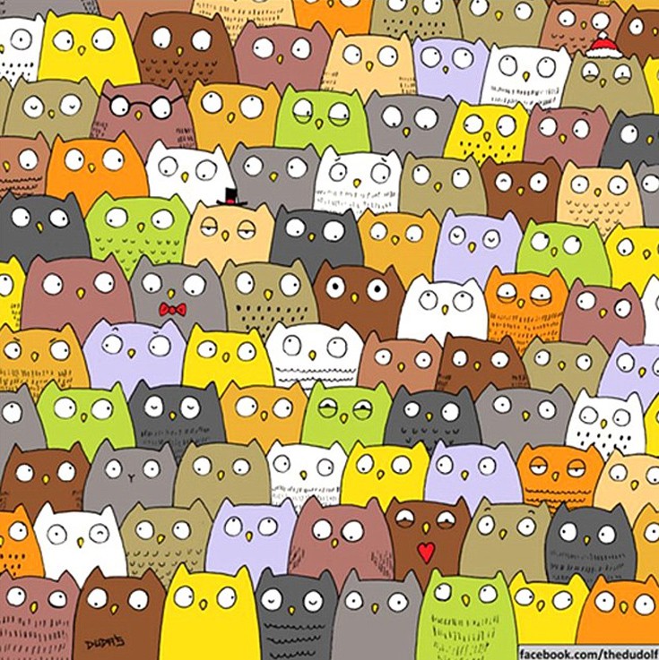 pandapasldja5 pandapasldja5