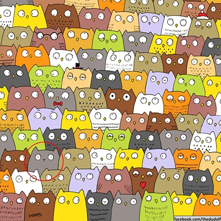 pandapasldja6 pandapasldja6