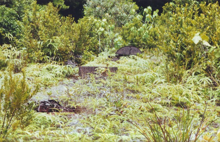 tanks_taken_nature_12 tanks_taken_nature_12