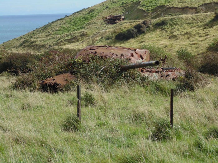 tanks_taken_nature_15 tanks_taken_nature_15