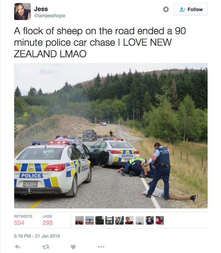 ΠΡΟΒΑΤΑ 2 ΠΡΟΒΑΤΑ 2