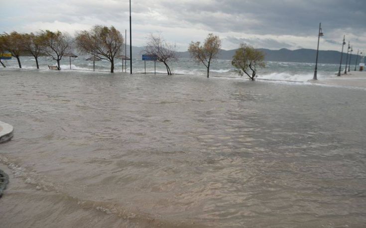 12540080_554127714739843_2012094976_n 12540080_554127714739843_2012094976_n