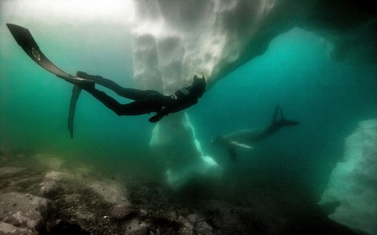 Antarctic4 Antarctic4